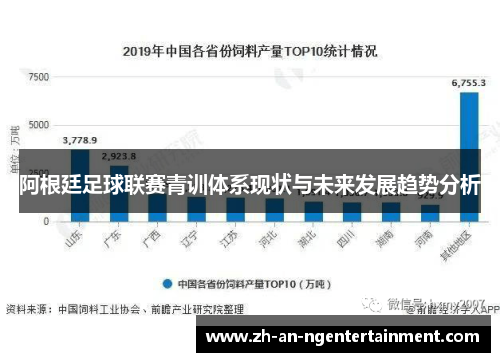阿根廷足球联赛青训体系现状与未来发展趋势分析